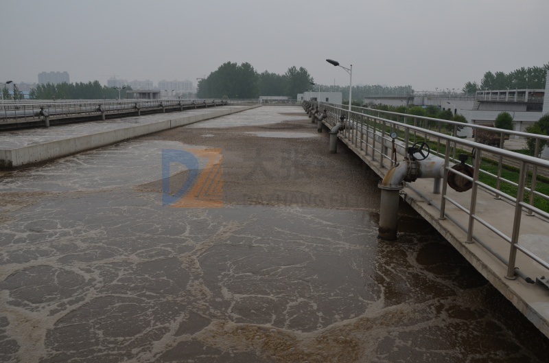 DSC_2527_副本.jpg DSC_2527_副本.jpg